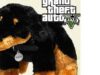 Concurso Liverpool, gana un kit de Grand Theft Auto V