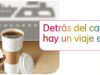 Promoción Scotiabank: gana un crucero todos los días