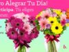 Concurso Enviaflores: participa  y sorprende a quien más quieres
