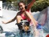 Promoción Verano Petco: participa por una tarjeta de regalo con $1,000 precargados