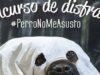 Concurso Disfraces Pedigree: gana un kit de productos Pedigree para tu perro