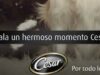 Concurso Cesar: gana kits con productos Cesar para tu mascota
