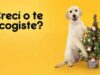 Concurso Bienvenido a Casa Pedigree: gana  kits con producto