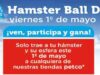 Concurso Hámster Ball Derby Petco: gánate hasta $1,000 pesos