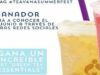 Concurso Teavana México: gánate un set de Green Tea Essentials