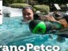 Concurso Verano Petco: gánate 1 de las 3 tarjetas con $1,000