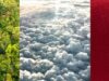Concurso AeroMéxico: gánate 1 de los 2 viajes al destino nacional que elijas