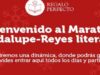 Concurso Guadalupe-Reyes Literario: gana un libro diario y participa por un Kindle