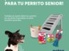 Concurso Petco: Gana un premio para tu perrito senior