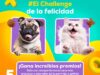 Challenge de la Felicidad Full Life: Gana accesorios para tu mascota
