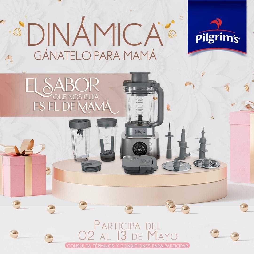 Dinámica Pilgrim